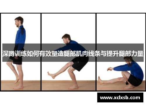 深蹲训练如何有效塑造腿部肌肉线条与提升腿部力量