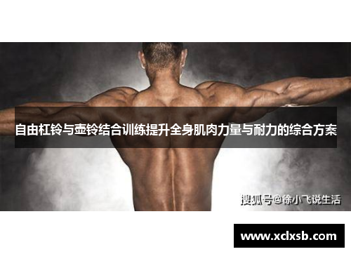 自由杠铃与壶铃结合训练提升全身肌肉力量与耐力的综合方案