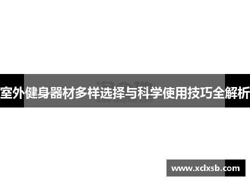 室外健身器材多样选择与科学使用技巧全解析