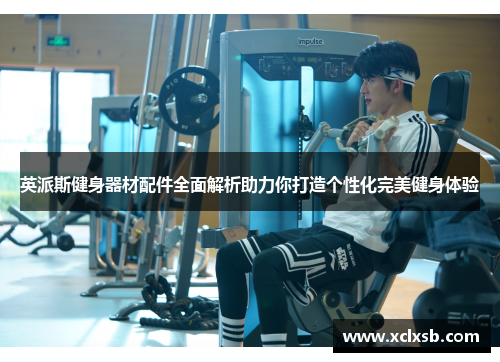 英派斯健身器材配件全面解析助力你打造个性化完美健身体验