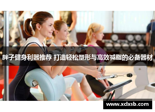 胖子健身利器推荐 打造轻松塑形与高效减脂的必备器材