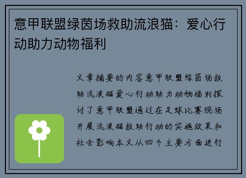 意甲联盟绿茵场救助流浪猫：爱心行动助力动物福利